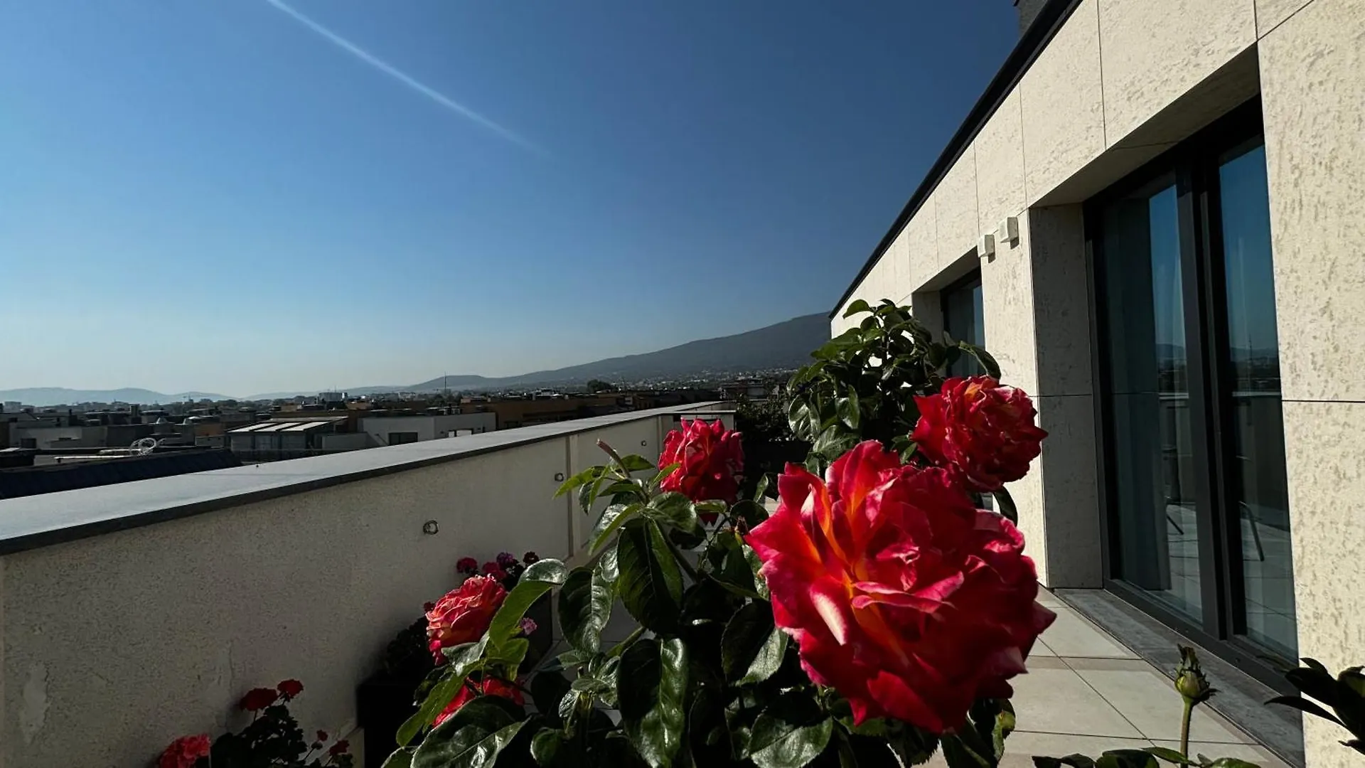 Blue Star Luxury Hotel Sofia